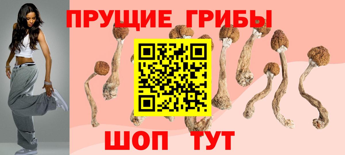 Полевской  Галлюциногенные грибы GOLDEN TEACHER  Вход с VPN  дарнет шоп  Галлюциногенные грибы MAGIC MUSHROOMS 